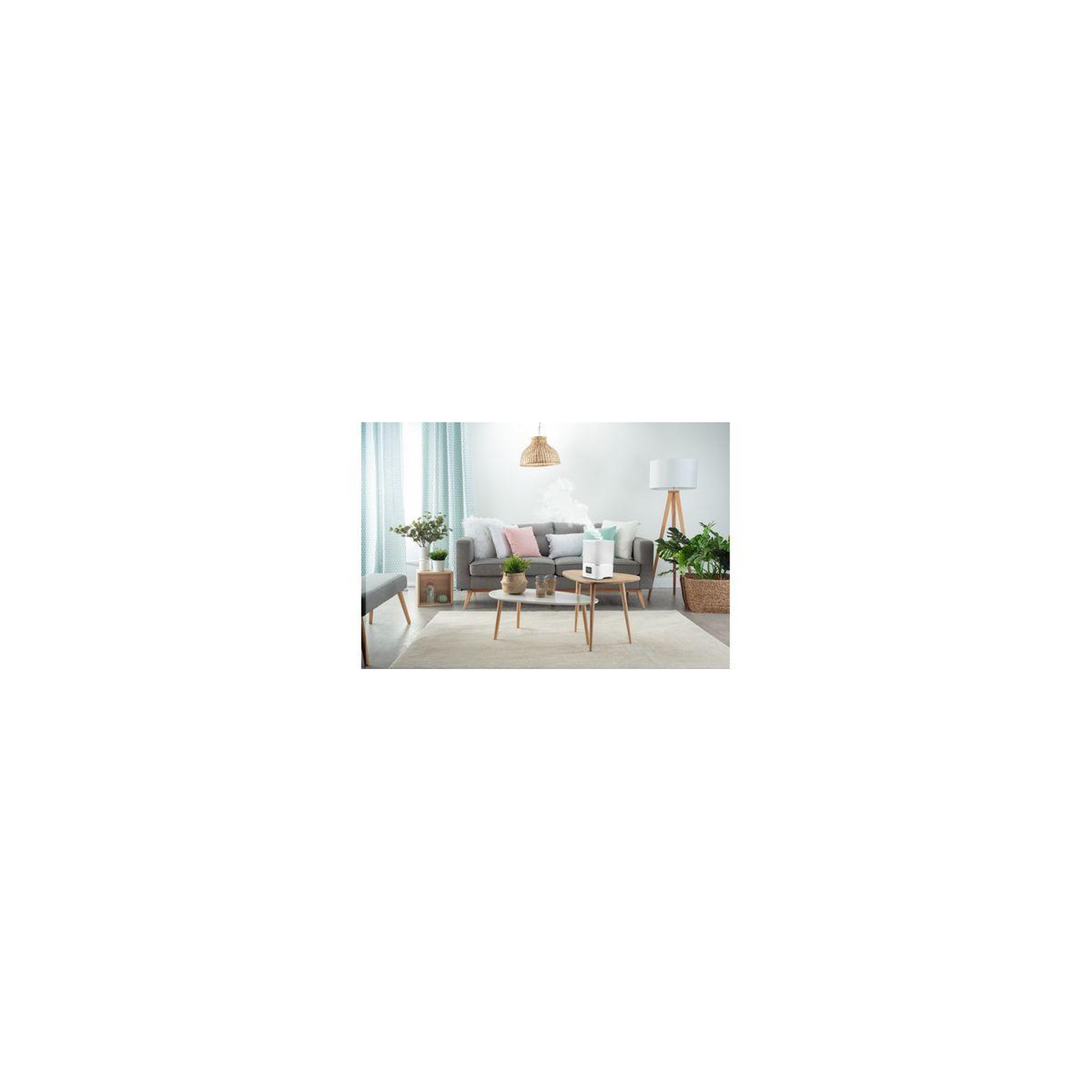 Voir la diapositive 4 : ROWENTA Humidificateur aqua boost