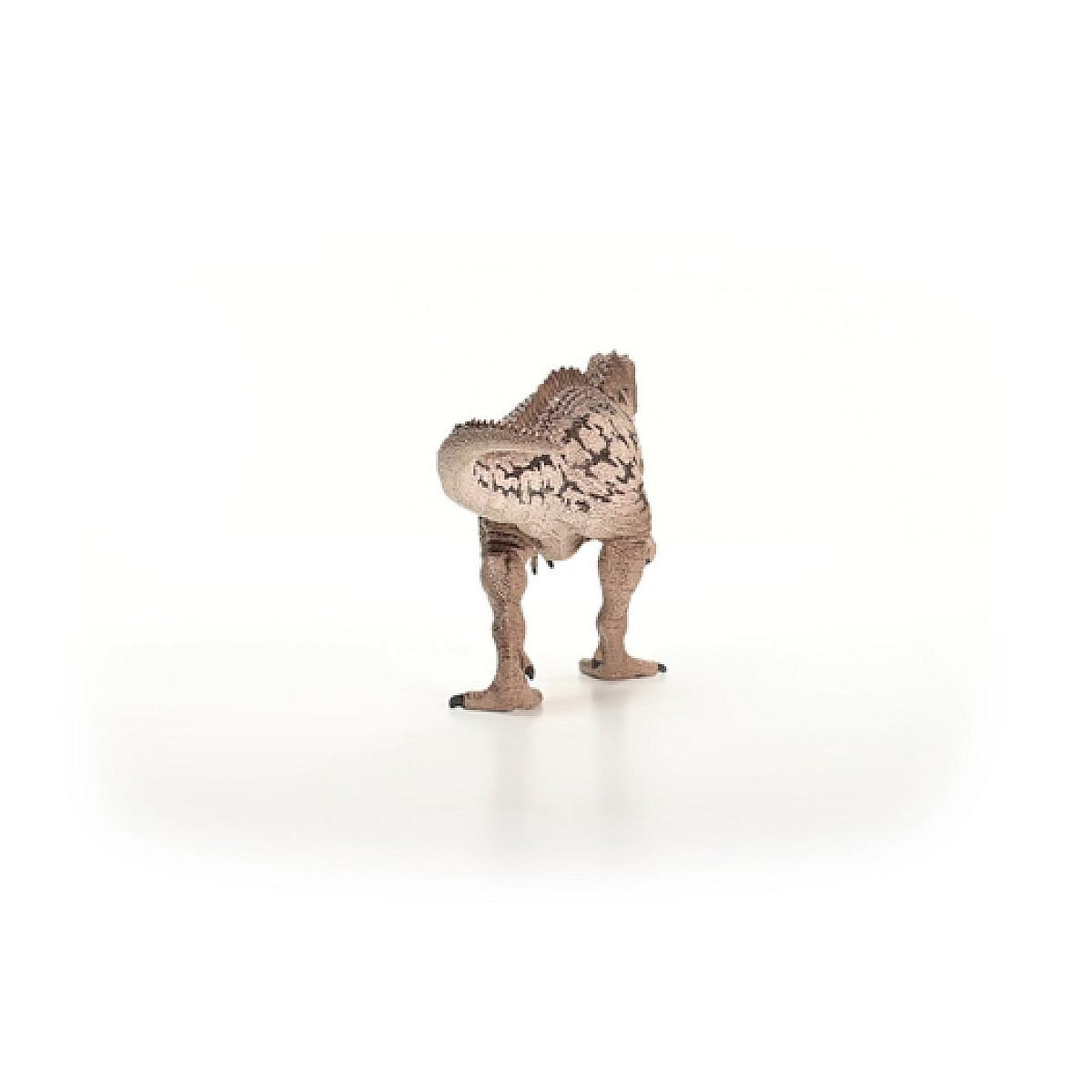 Voir la diapositive 4 : Schleich 15048 - Carcharodontosa