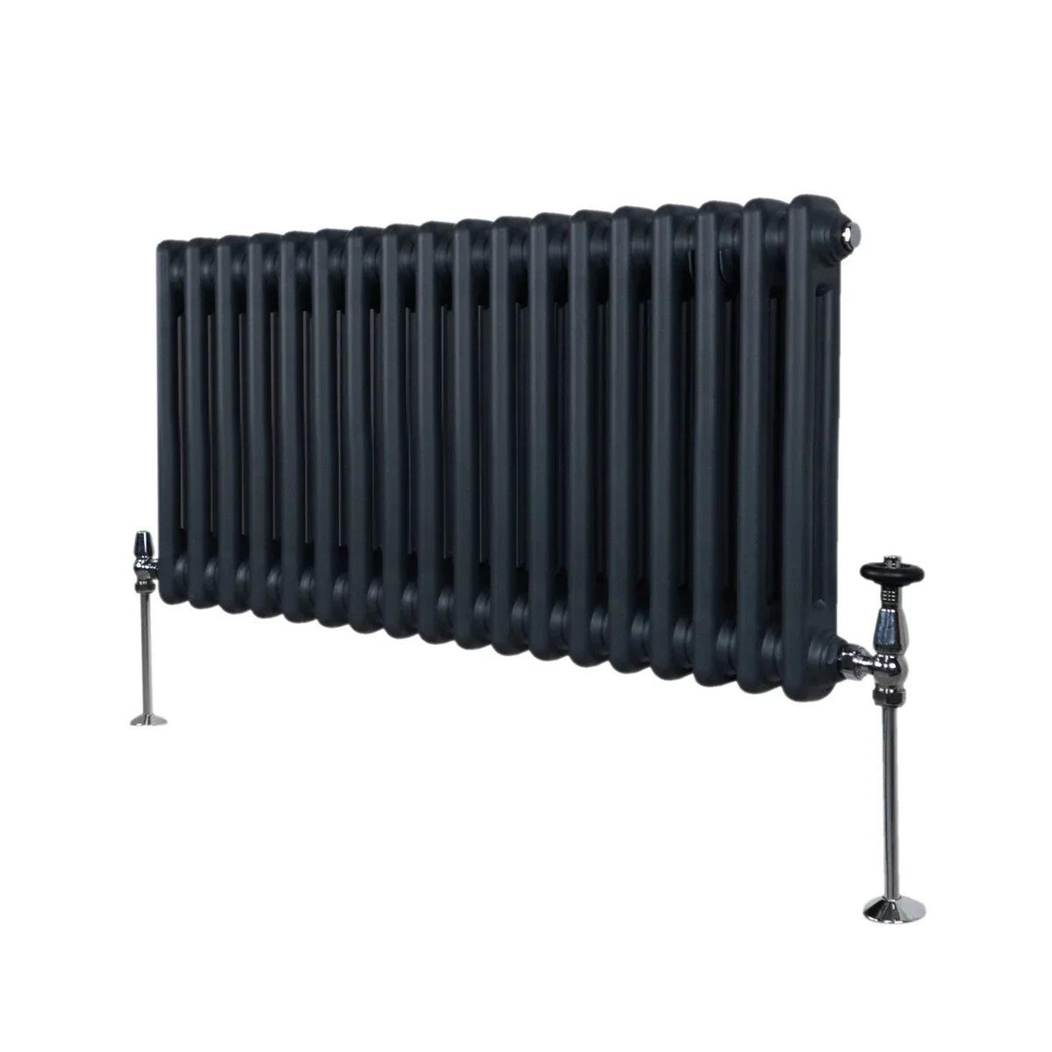 Voir la diapositive 1 : MONSTERSHOP Radiateur traditionnel à 2 colonnes – 300 x 832 mm
