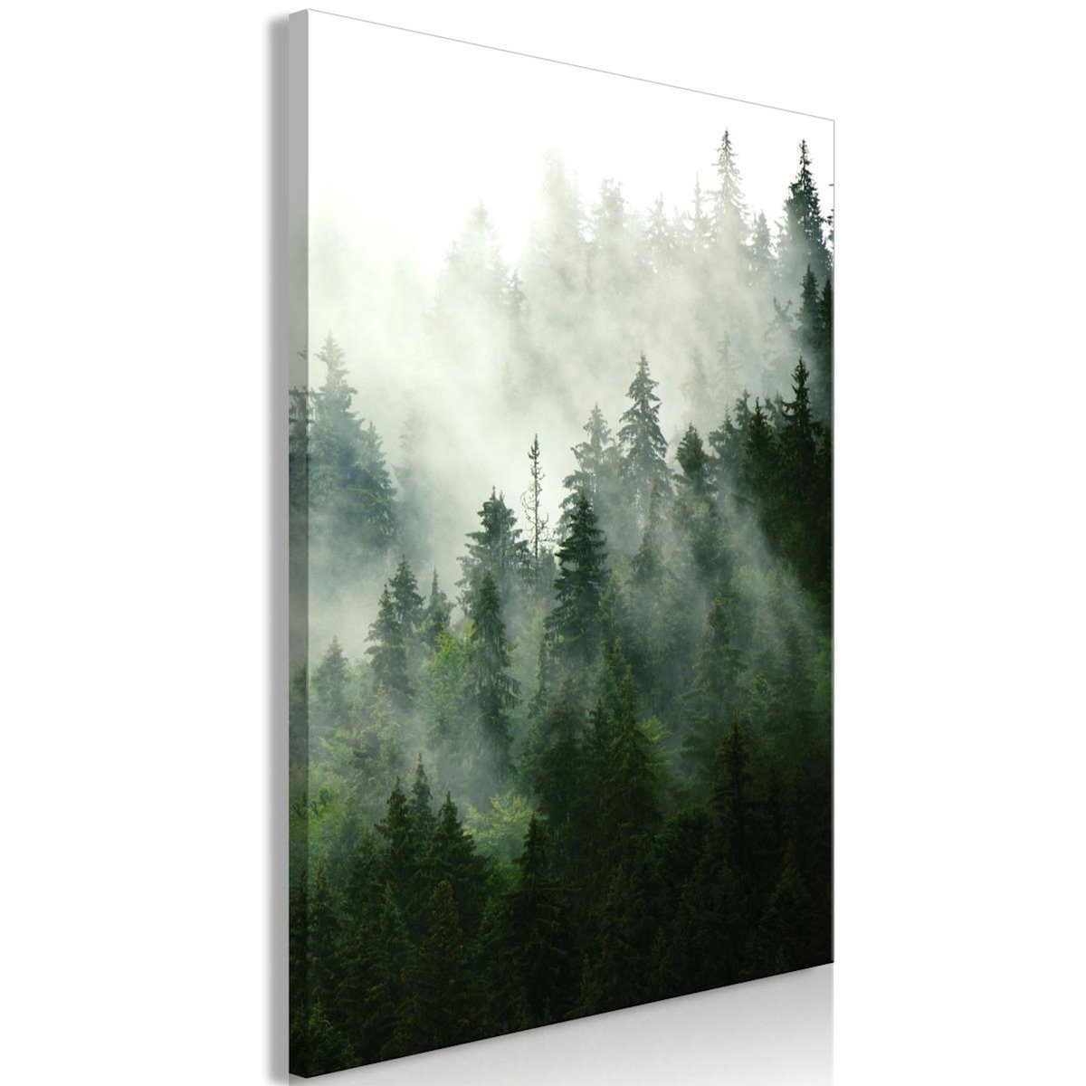 Paris Prix Tableau Imprimé  Coniferous Forest