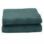 Voir la diapositive 3 : VIDAXL Tapis de tente vert 5x2,5 m