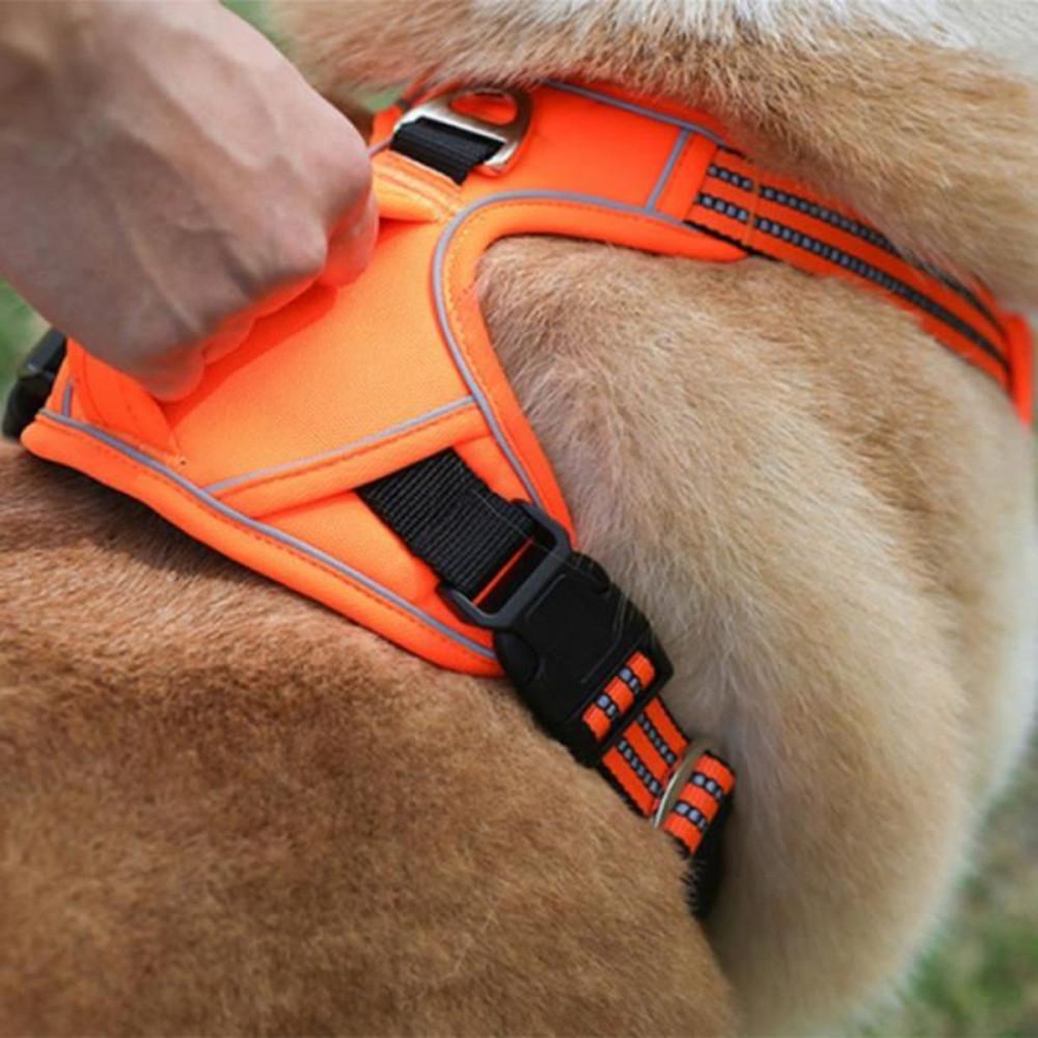 Voir la diapositive 3 : Harnais chien anti-traction taille S orange, poignée de contrôle, sangles réglables et éléments réfléchissants