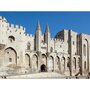 Voir la diapositive 4 : Smartbox 2 entrées adulte pour le Palais des Papes et les jardins à Avignon - Coffret Cadeau Sport & Aventure