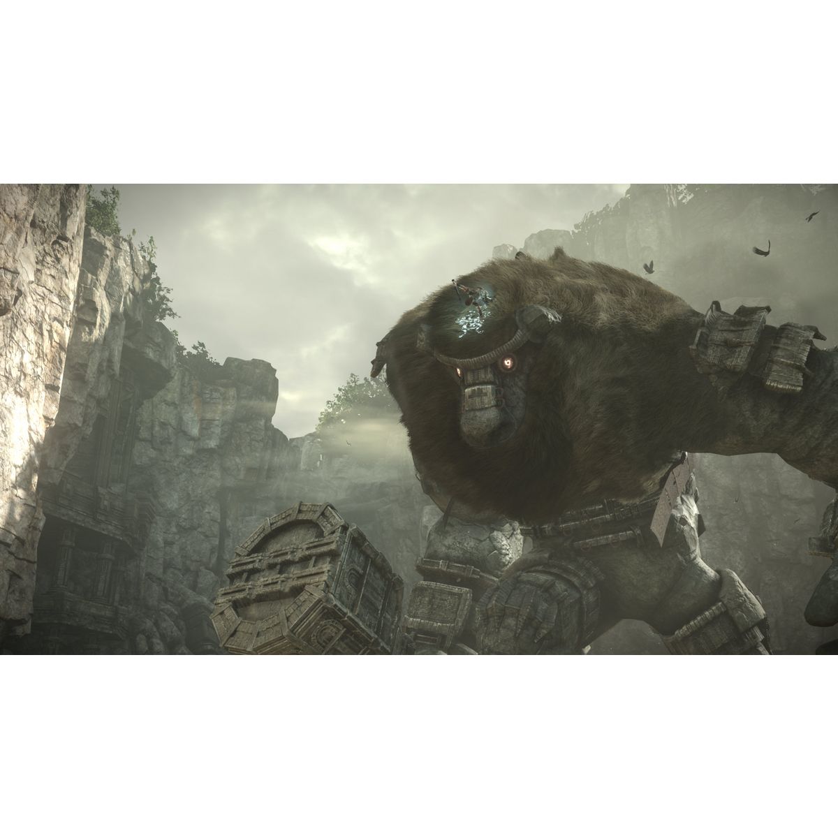 SONY Shadow of the Colossus PS4