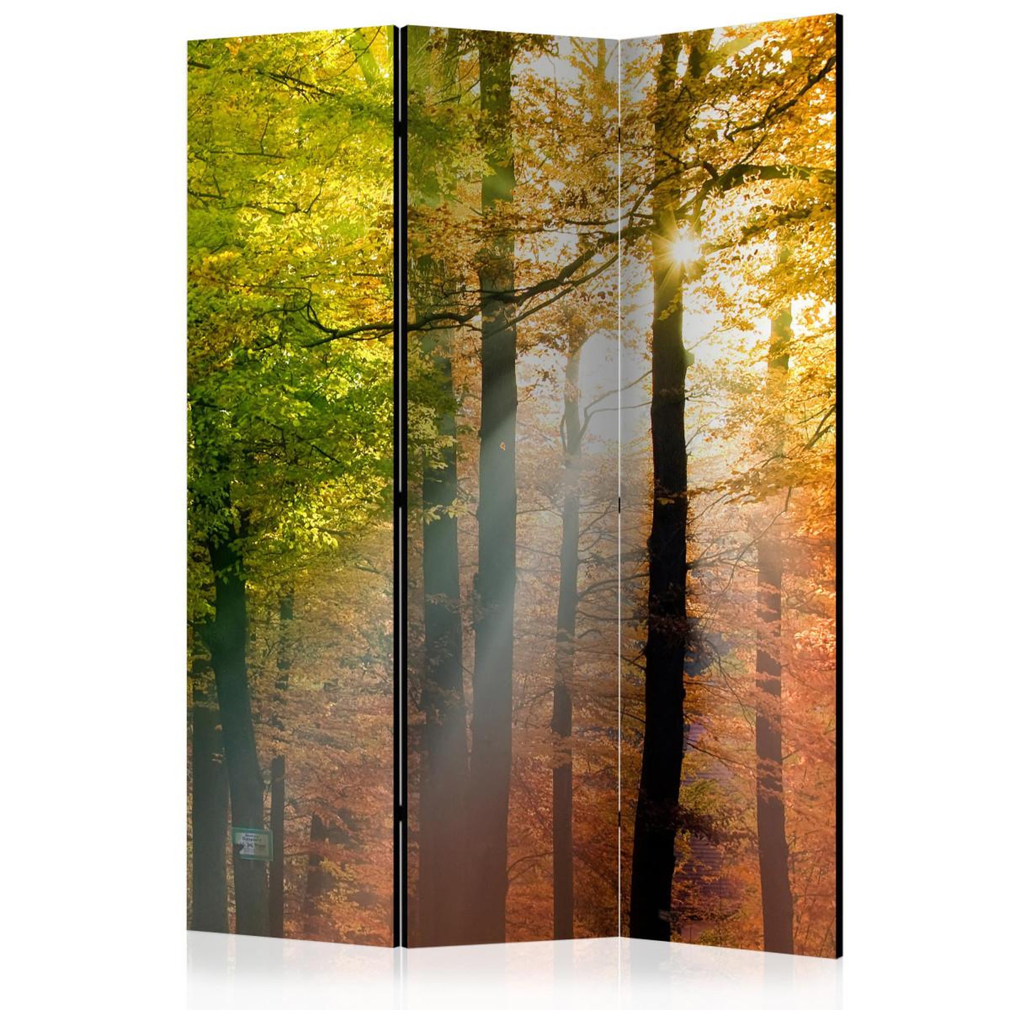 Paris Prix Paravent 3 volets  forest colours  135x172cm