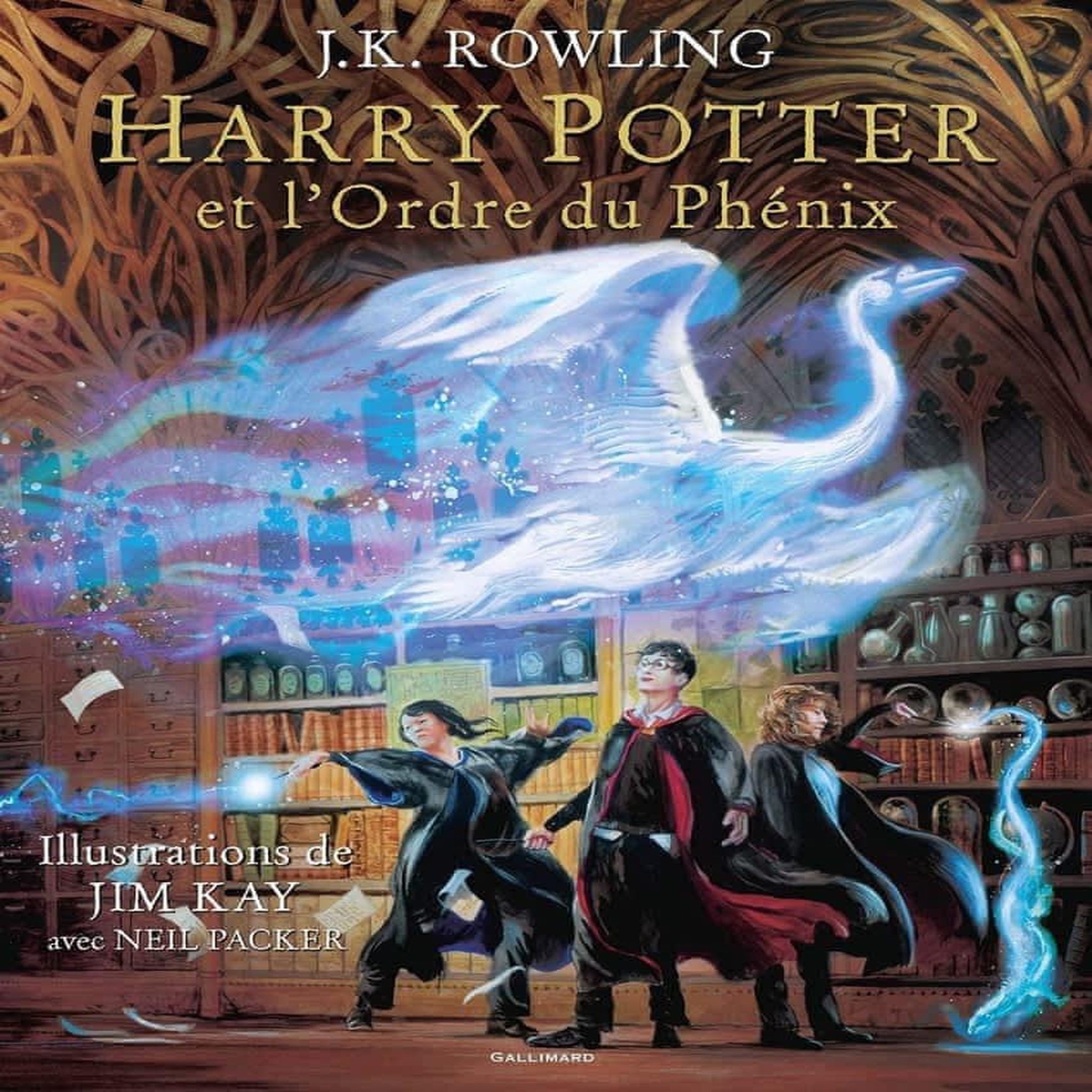 HARRY POTTER TOME 5 : HARRY POTTER ET L'ORDRE DU PHENIX, Rowling J.K.
