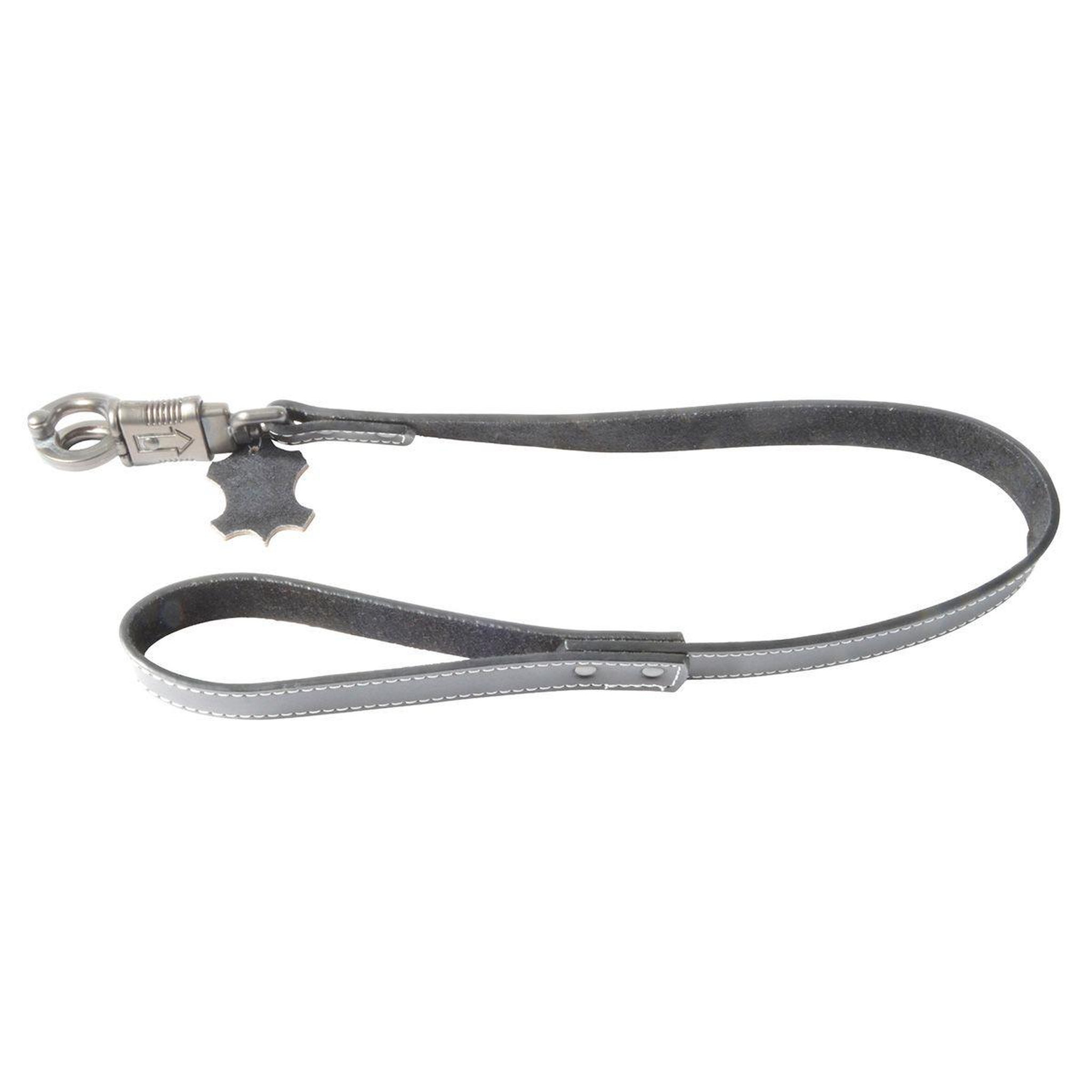 Voir la diapositive 1 : LOVE STORY Laisse Pour Chien  Cuir  70cm Noir