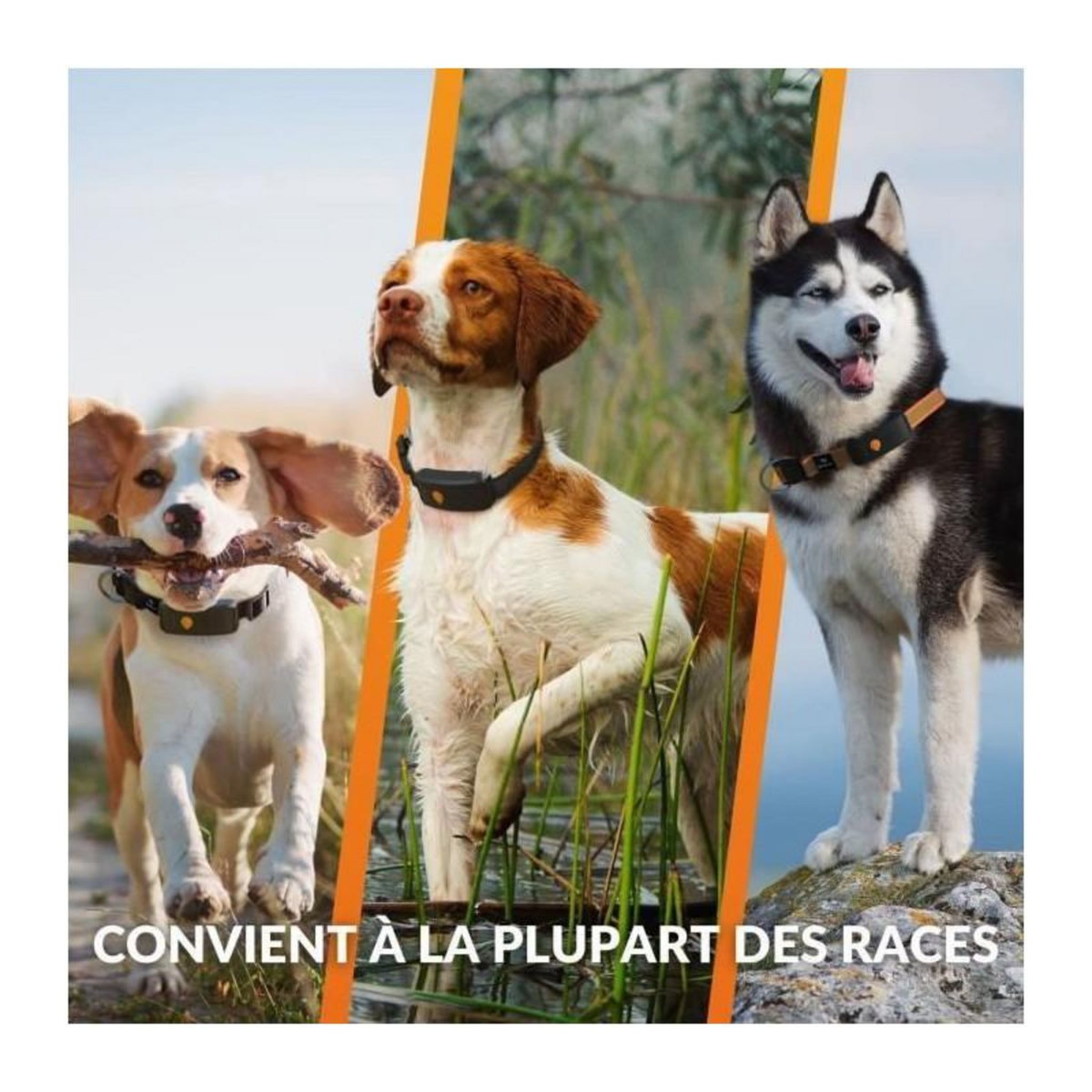 WEENECT Collier GPS pour chien - WEENECT Chien XT - Antenne XL - Etanche - Collier Julius-K9 - Fonctionne avec abonnement - Orange