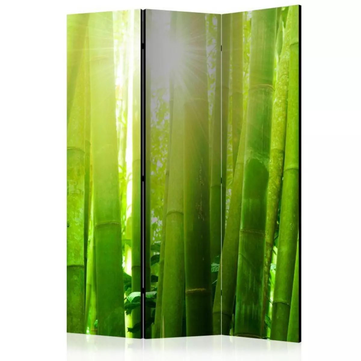 Paris Prix Paravent 3 Volets  Sun & Bamboo  135x172cm