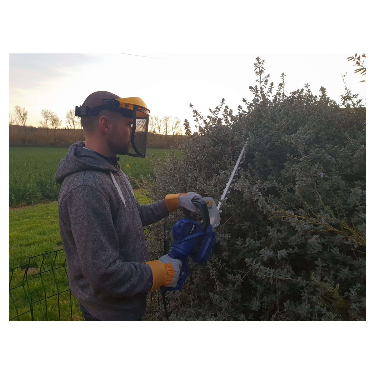 HYUNDAI Taille-haie électrique 710 W 55 cm 24 mm - Poignée arrière rotative à 180°