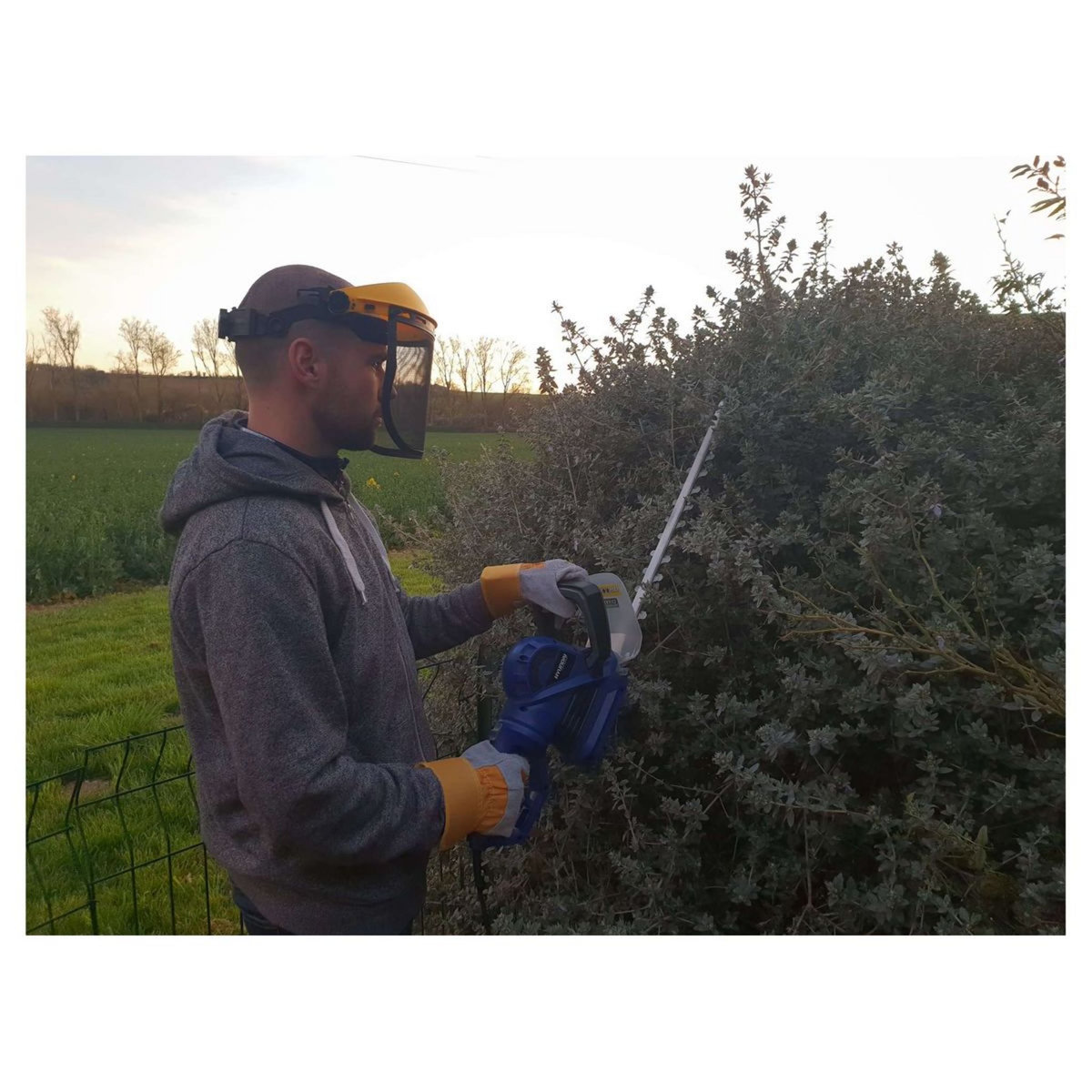 HYUNDAI Taille-haie électrique 710 W 55 cm 24 mm - Poignée arrière rotative à 180°