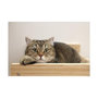 Voir la diapositive 4 : KERBL Hamac mural pour chats - KERBL - TIMBER - 38 x 33,5 x 16 cm - Bois massif - Tissu peluche