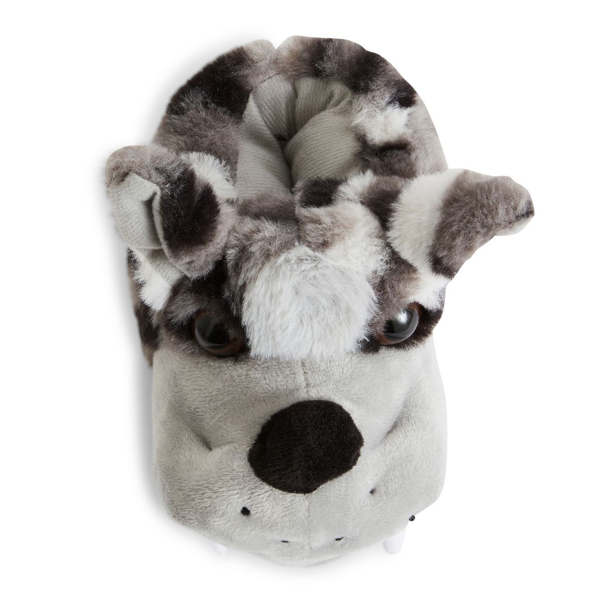 IN EXTENSO Chaussons chien garçon