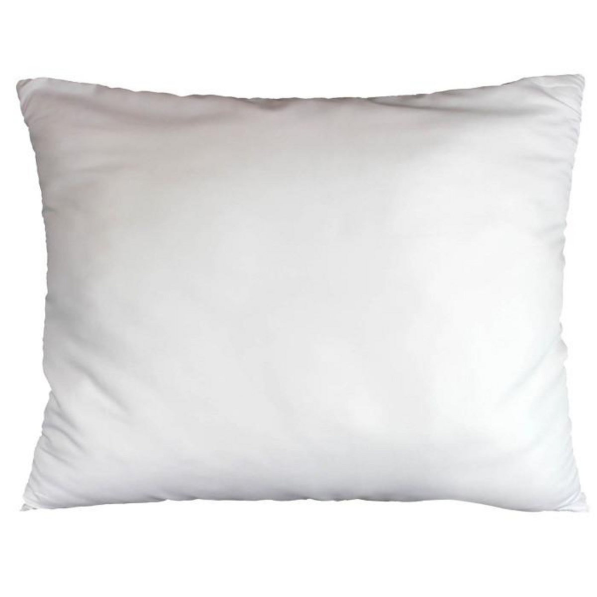 Paris Prix Oreiller en Polyester  Anti Acarien  50x70cm Blanc