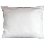 Paris Prix Oreiller en Polyester  Anti Acarien  50x70cm Blanc