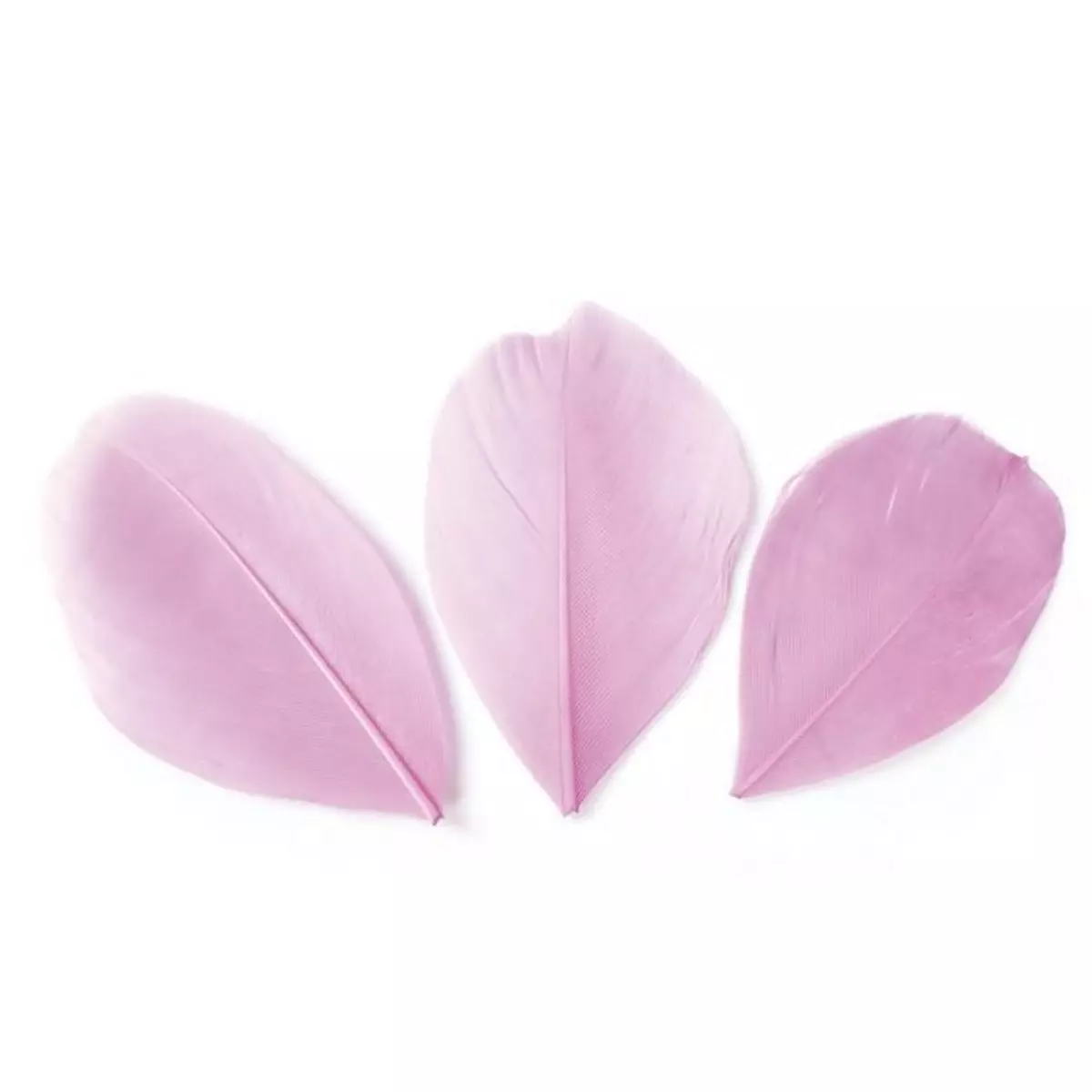 Graine créative 50 plumes coupées - Rose pâle 6 cm