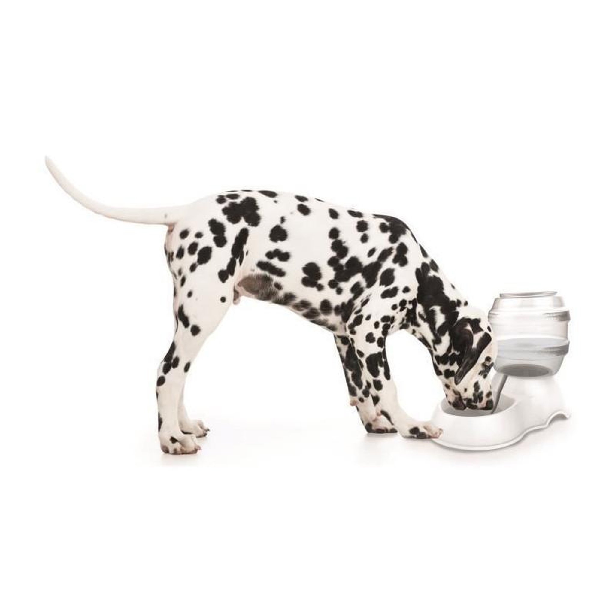 Voir la diapositive 2 : M PETS M-PETS Distributeur deau Cylinder - 3500ml - Blanc - Pour chien