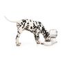 Voir la diapositive 2 : M PETS M-PETS Distributeur deau Cylinder - 3500ml - Blanc - Pour chien