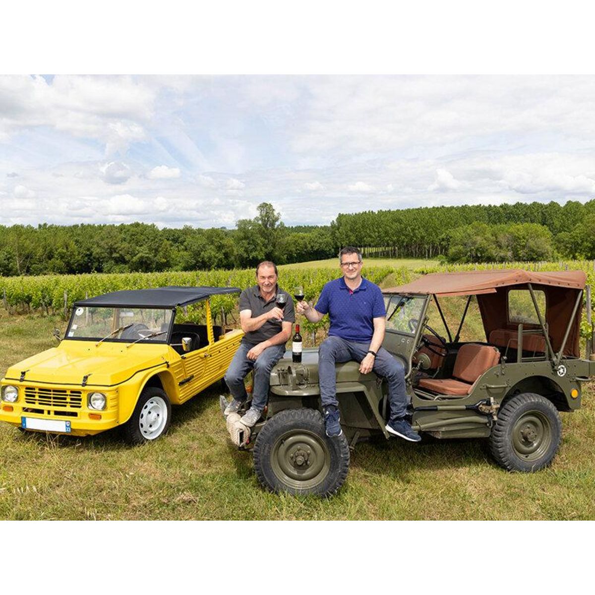 Smartbox Visite d'un vignoble bordelais en Jeep ou en Méhari avec pique-nique sur le domaine - Coffret Cadeau Gastronomie
