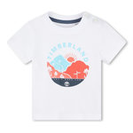 TIMBERLAND T Shirt  Bébé Timberland T60102. Coloris disponibles : Blanc