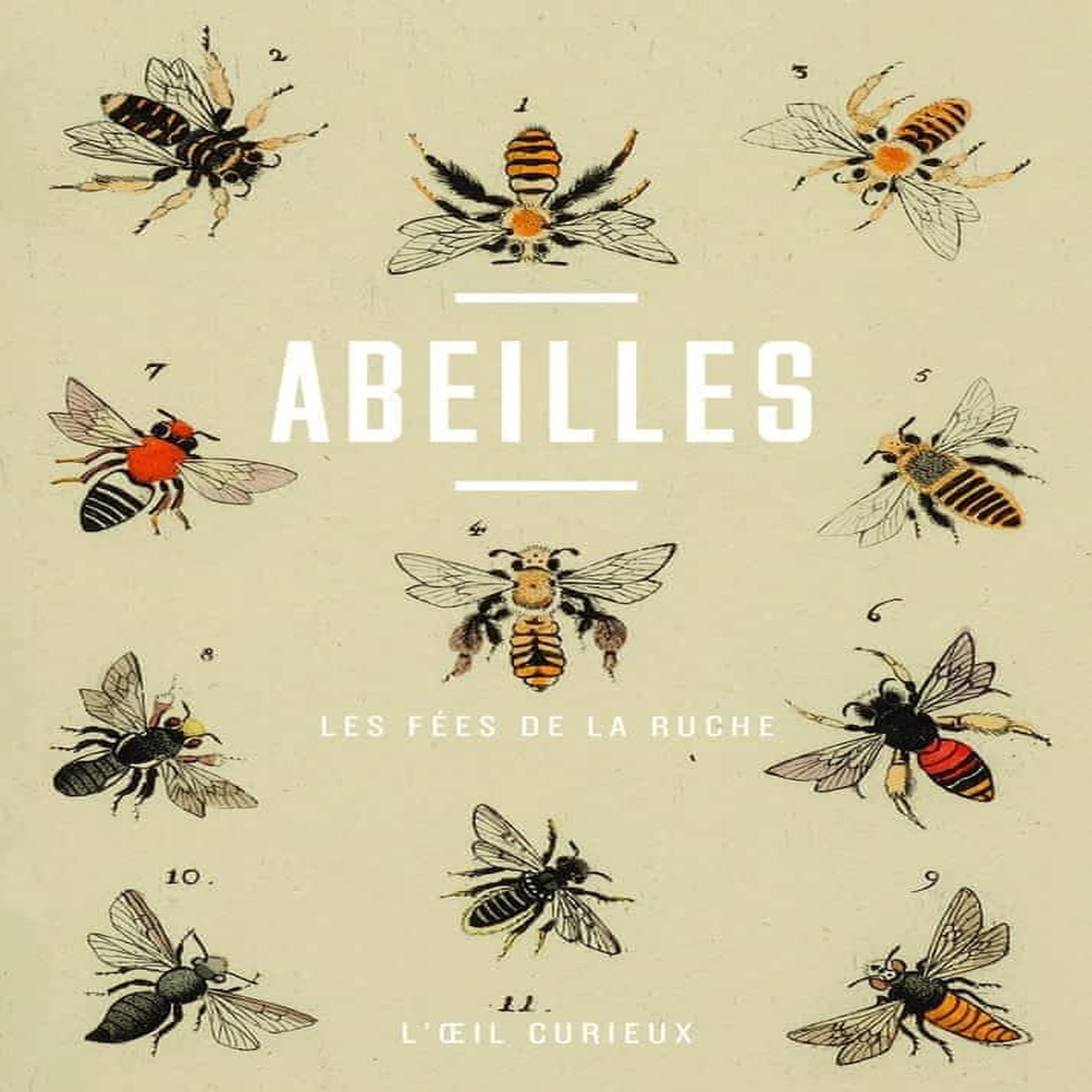 ABEILLES. LES FEES DE LA RUCHE, Baratta Yveline