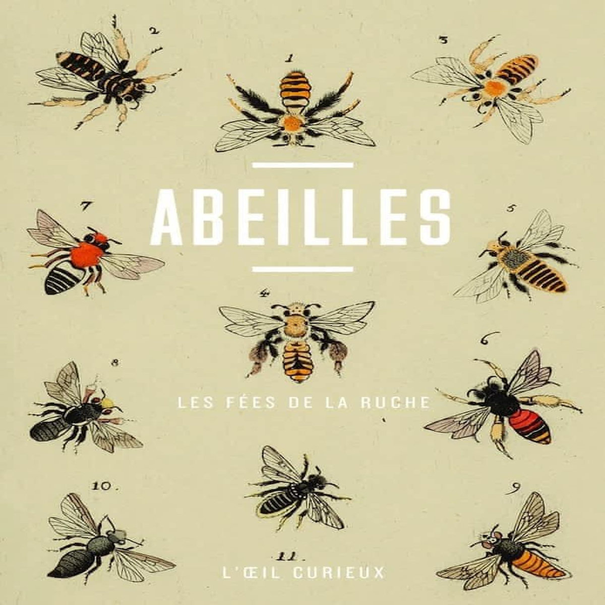 ABEILLES. LES FEES DE LA RUCHE, Baratta Yveline