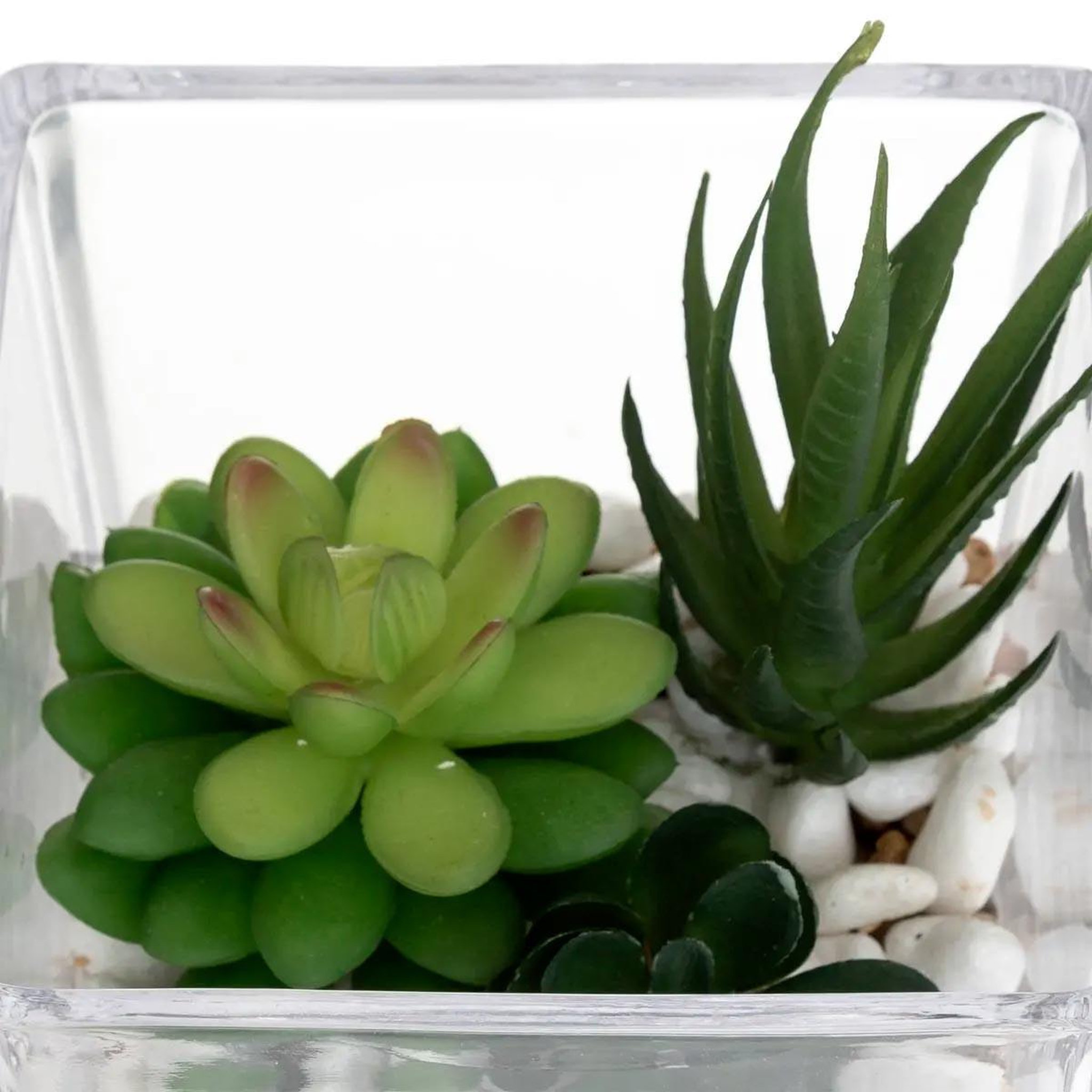 Voir la diapositive 2 : ATMOSPHERA Composition  plante artificielle  15cm transparent
