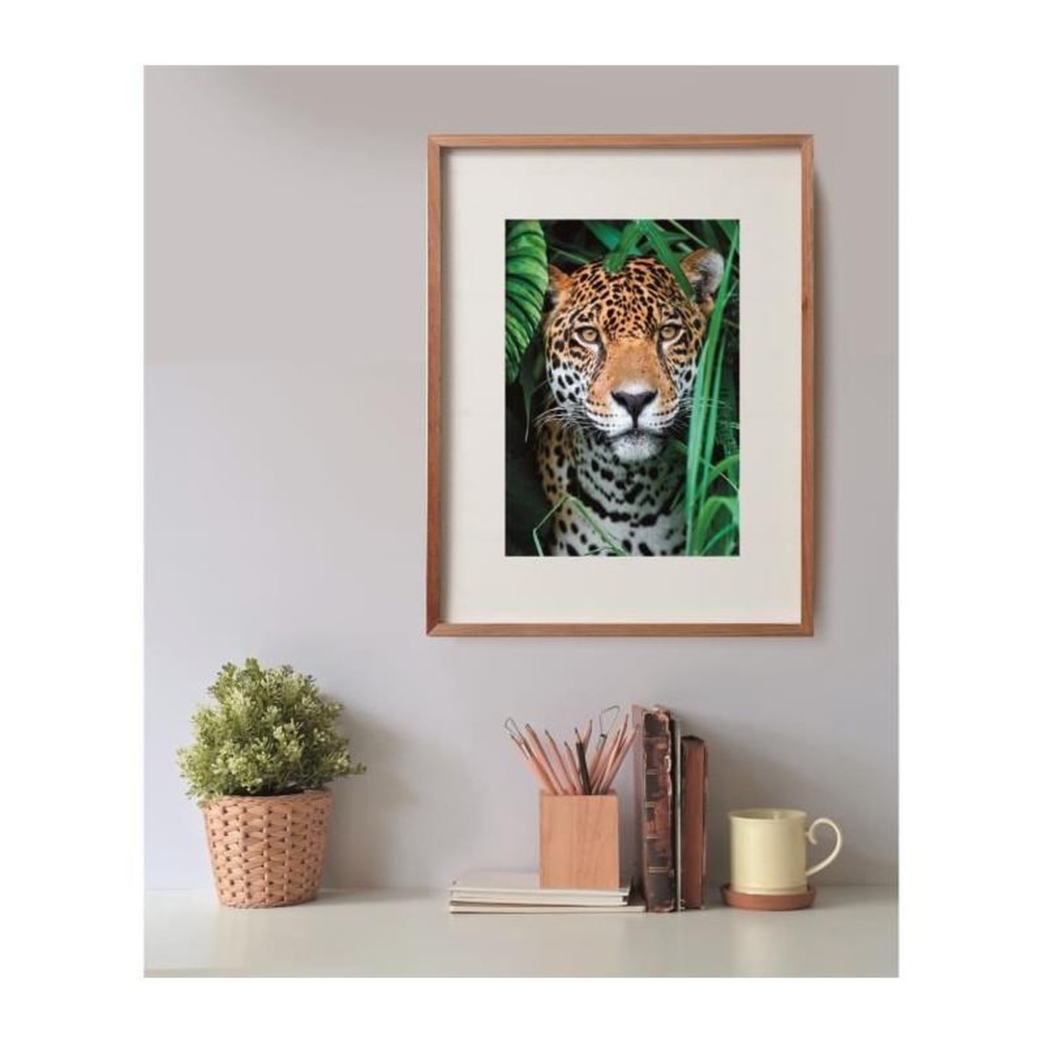 Voir la diapositive 4 : CLEMENTONI Puzzle 500 pièces Compact – Jaguar in the Jungle – Clementoni – Adulte 14+ ans