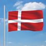 Voir la diapositive 3 : VIDAXL Drapeau Danemark 90x150 cm