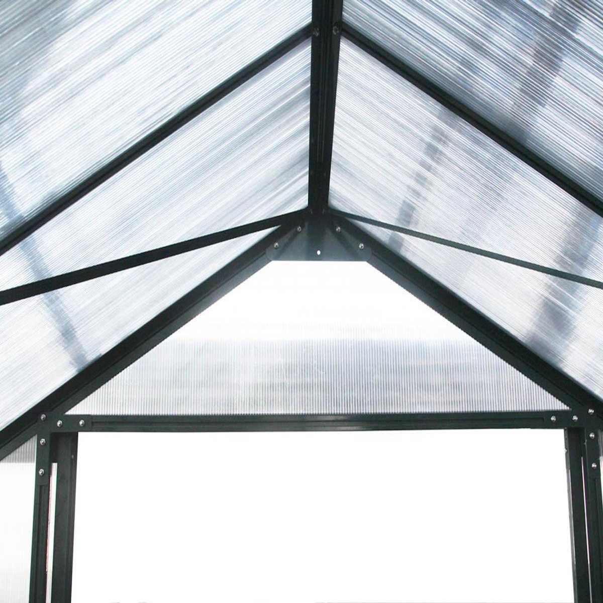 Habitat et Jardin Serre jardin polycarbonate  Dahlia  - 9,24 m² - Vert Sapin