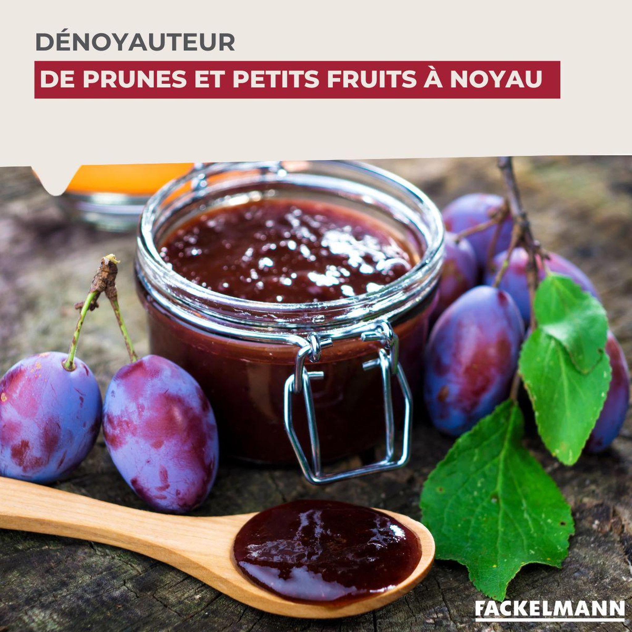 Voir la diapositive 2 : Fackelmann Dénoyauteur de prunes Fackelmann Arcadalina