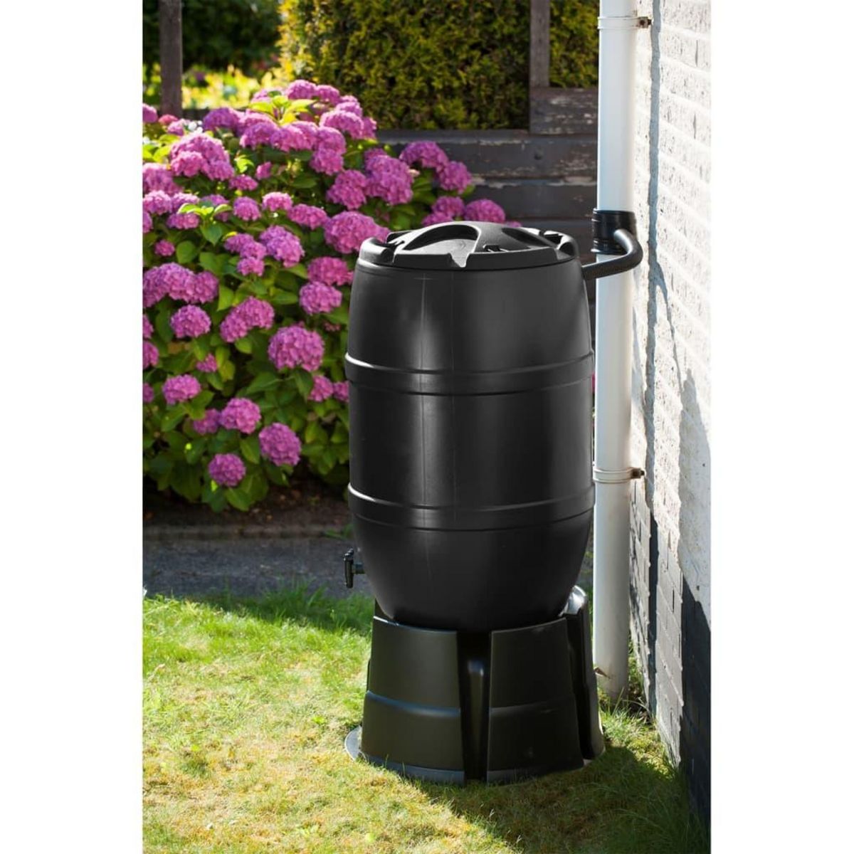 NATURE Nature Recuperateur d'eau de pluie 120 L 51x81 cm Noir