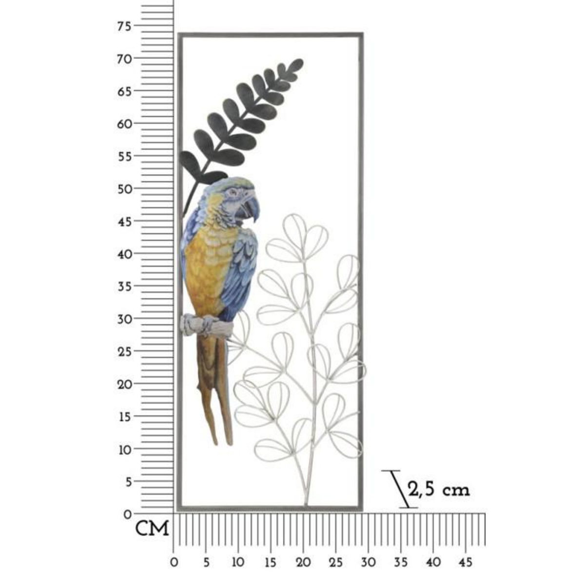 Paris Prix Décoration Murale Encadrée en Métal  Parrot  74cm Multicolore