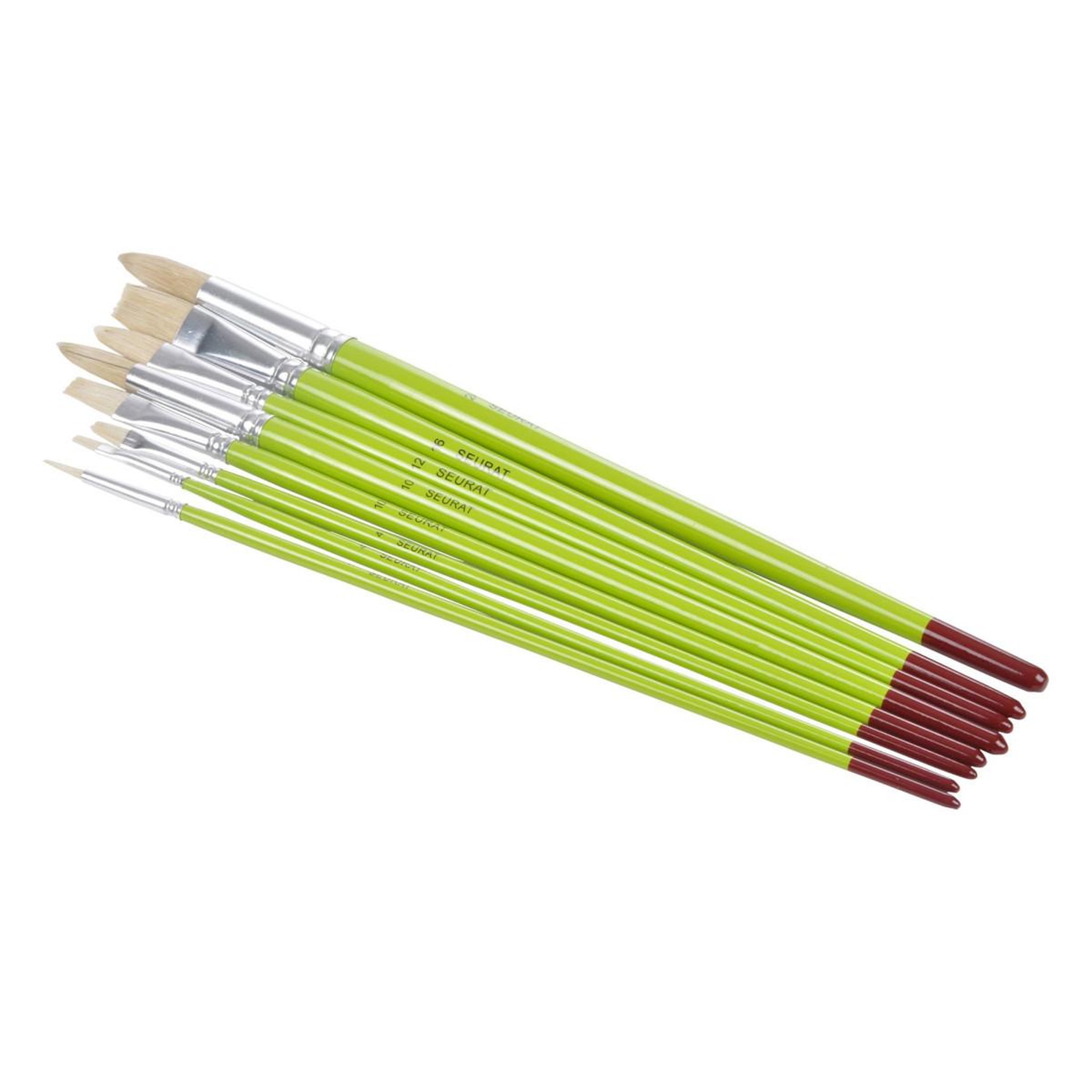 HOMEA Lot de 8 Pinceaux  Apprentissage Huile  30cm Vert