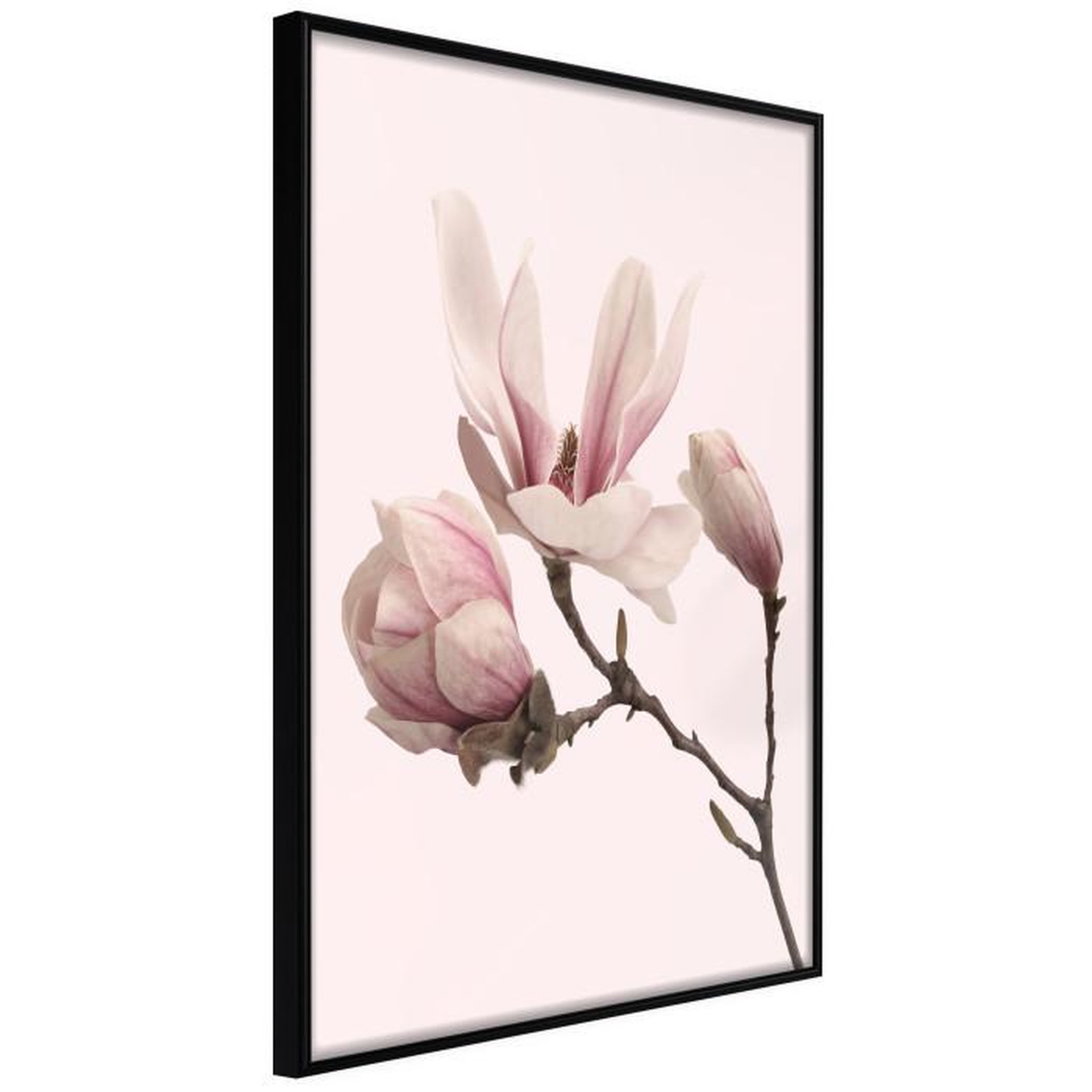 Paris Prix Affiche Murale Encadrée  Blooming Magnolias II. Coloris disponibles : Jaune, Noir
