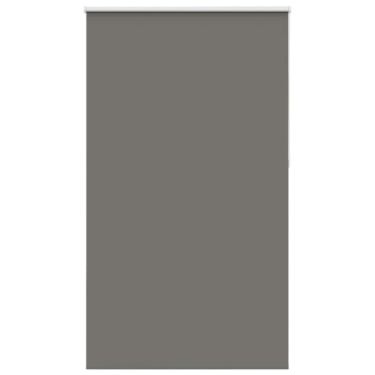 VIDAXL Store enrouleur occultant largeur du tissu 136,6 cm polyester