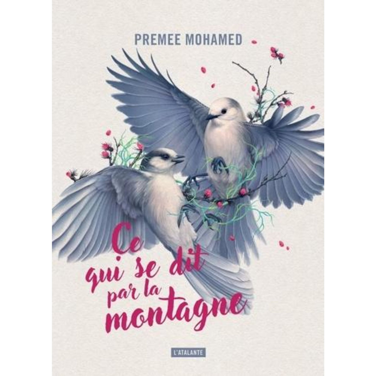 CE QUI SE DIT PAR LA MONTAGNE, Mohamed Premee