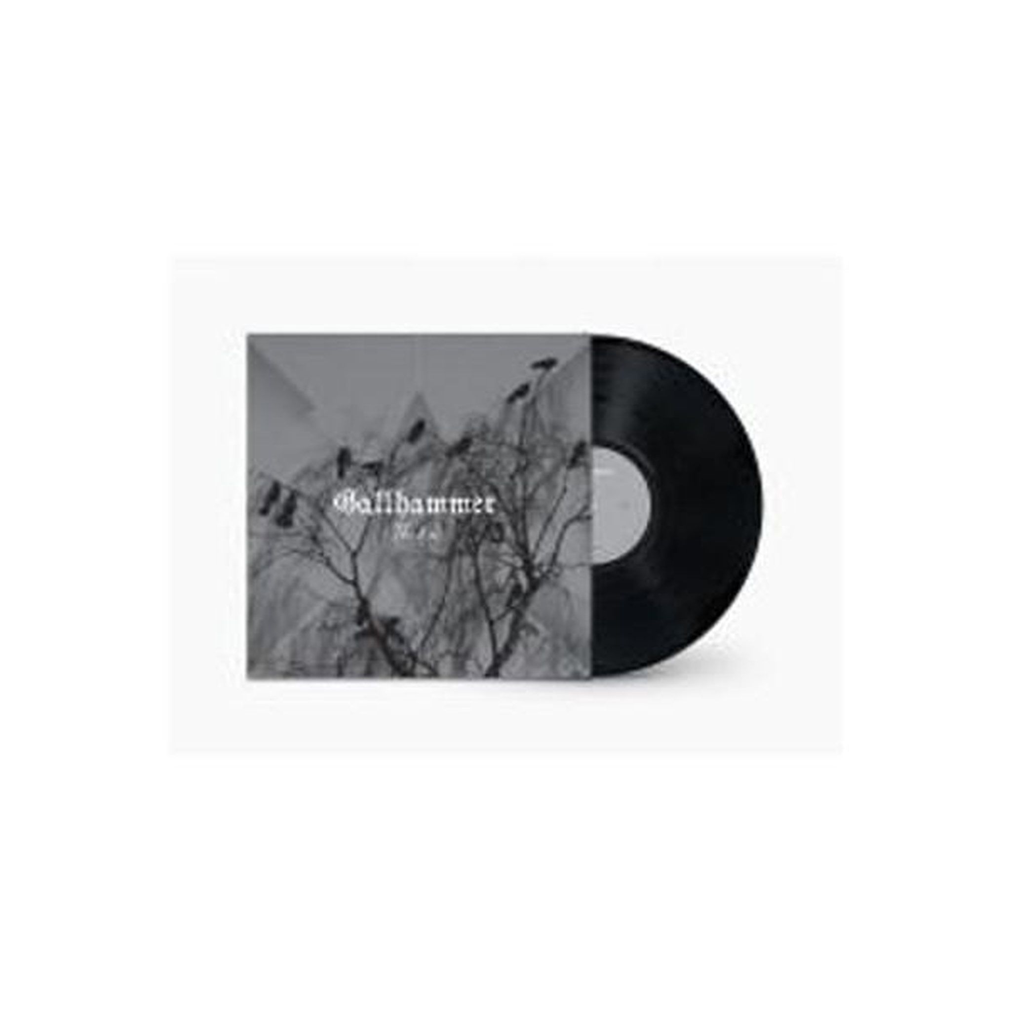 N/A Vinyle single noir the end avec pochette gris/noir
