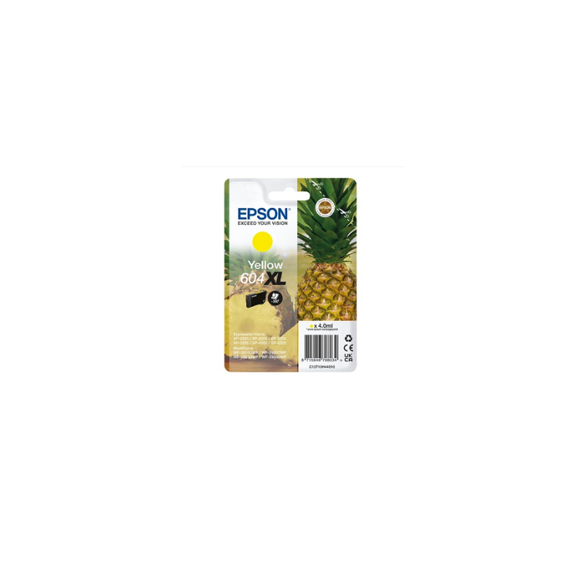 Epson Consommable EPSON C13T10H44010