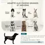 PAWHUT Canapé chien lit pour chien design scandinave coussin moelleux piètement bois dim. 100L x 62l x 32H cm polyester gris