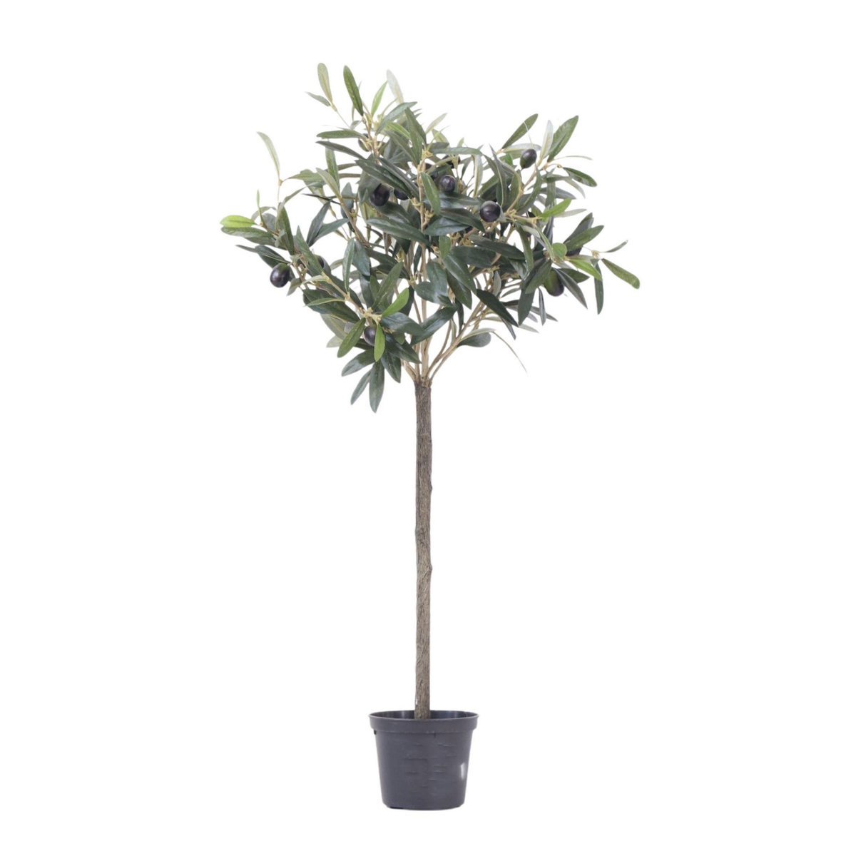PLANT IN A BOX Olivier artificiel - Hauteur 65cm