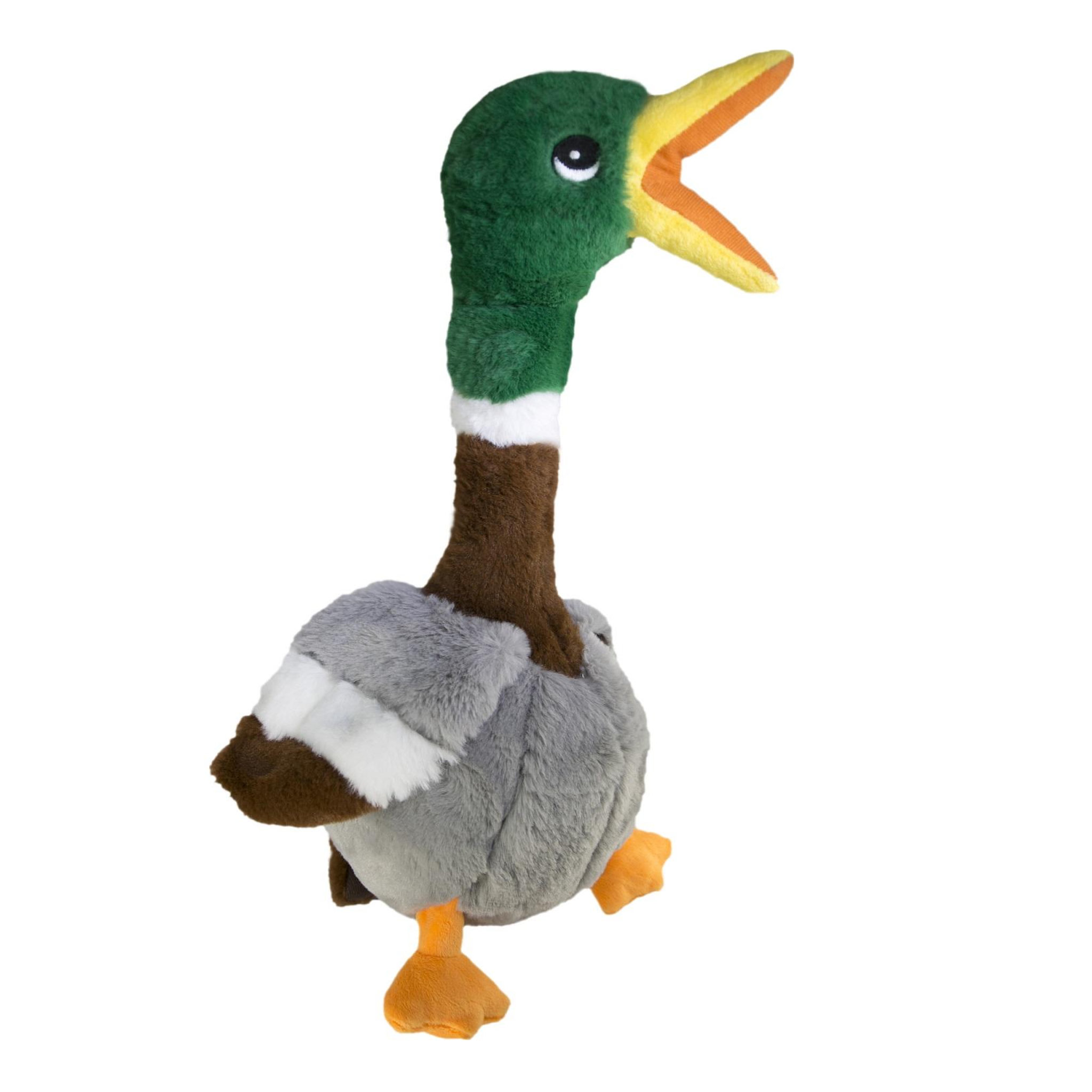 Eden Jeu pour chien honkers canard design et moderne