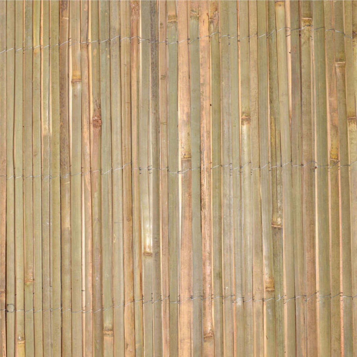 LINXOR Canisse, brise vue occultant en bambou refendu