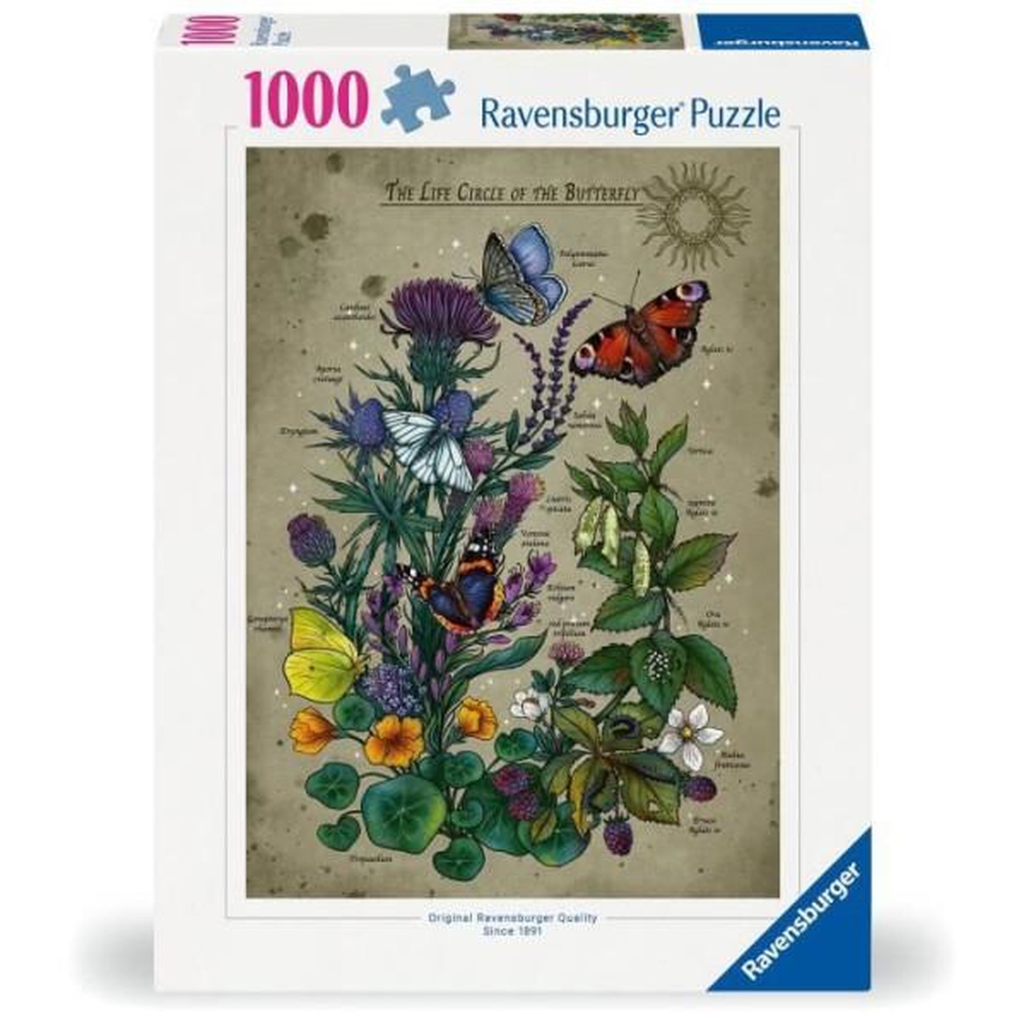 RAVENSBURGER Puzzle - ravensburger - le cercle de vie du papillon - 1000 pieces - multicolore - a partir de 14 ans