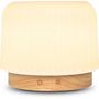 Voir la diapositive 2 : NAEO Diffuseur huiles essentielles Elie d'huiles essentielles