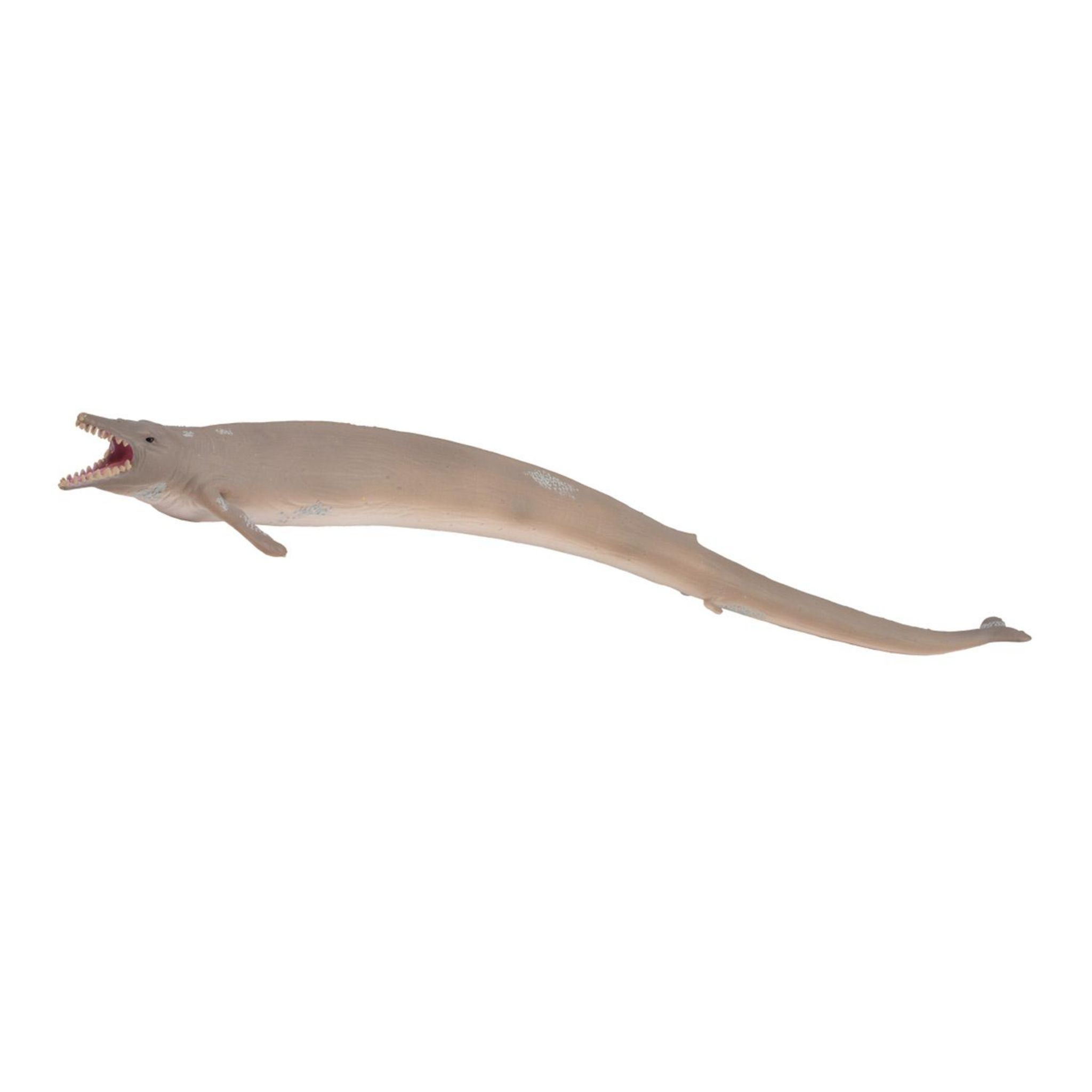 Collecta Figurine Préhistoire: Cooperoceras (XL) – 11 X 8,3 Cm, Detailgetreue Dino-Figur
