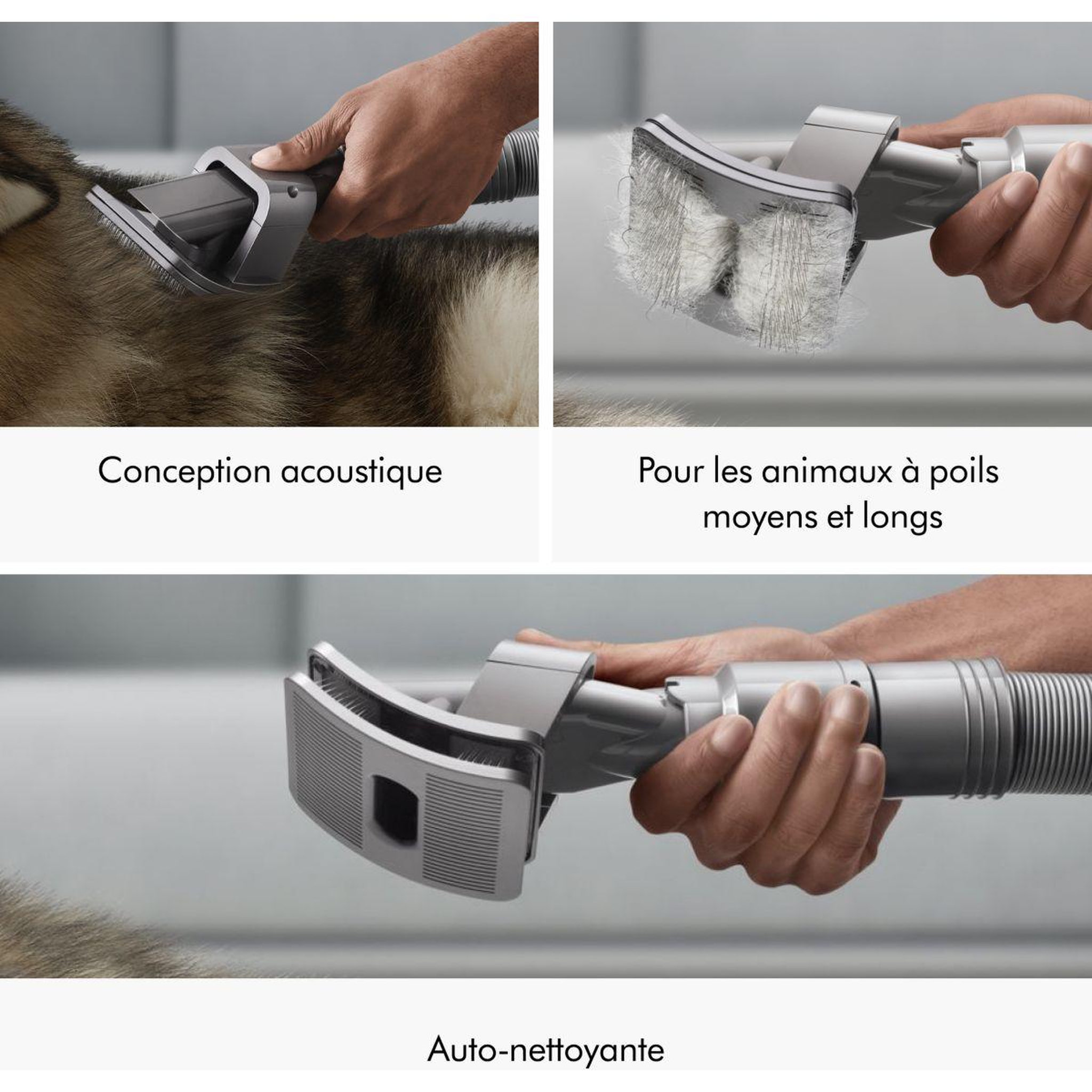 Voir la diapositive 4 : Dyson Kit Animaux brosse auto-démêlante poils V8 V10 V11 V15