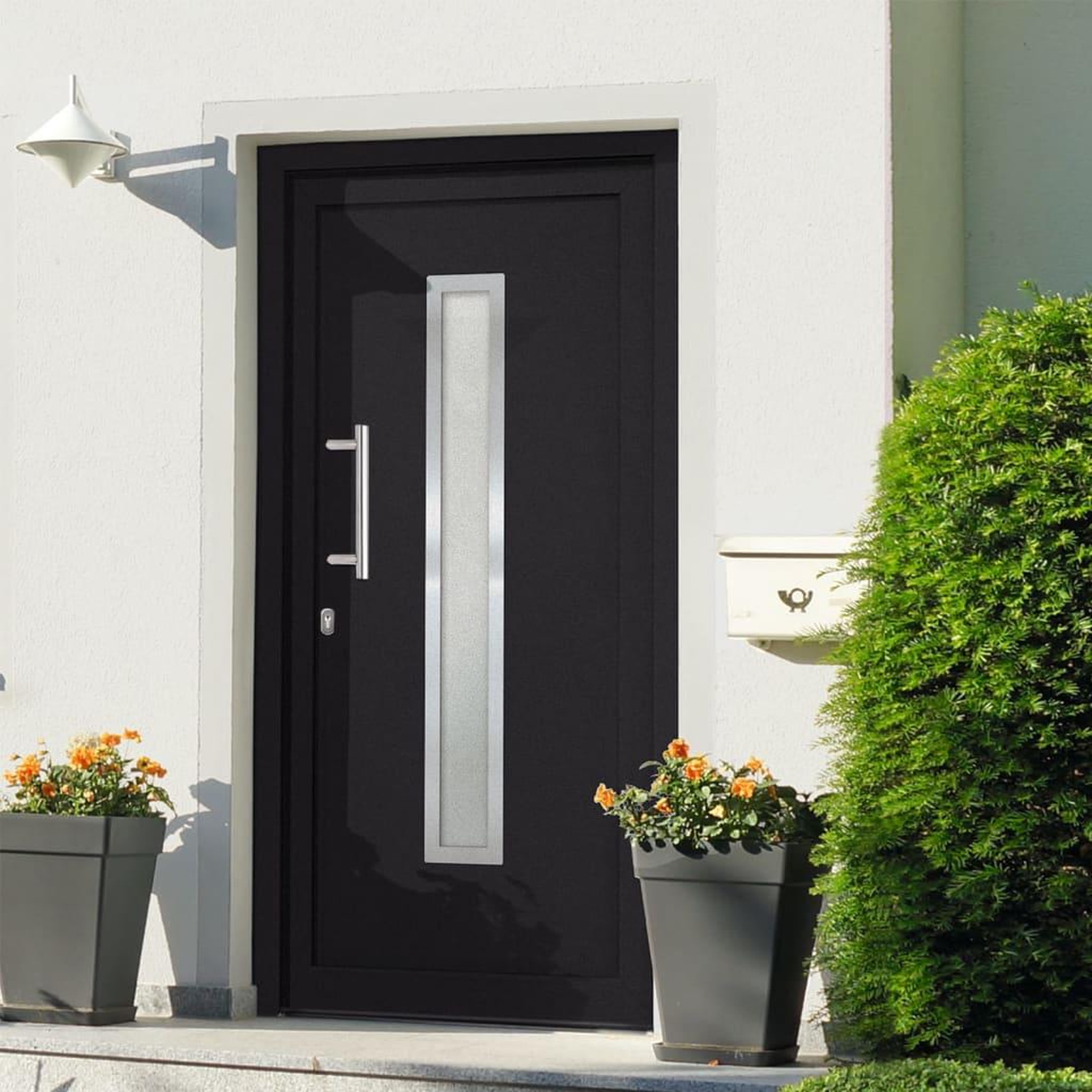 VIDAXL Porte d'entree Anthracite 108x208 cm