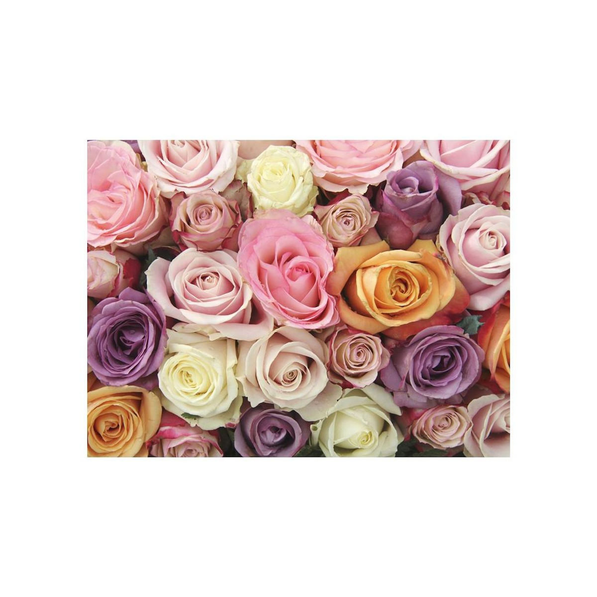 Paris Prix Papier Peint  Pastel Roses