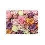 Voir la diapositive 2 : Paris Prix Papier Peint  Pastel Roses
